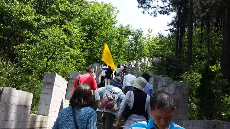 bevictor伟德官网